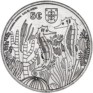 5 euro